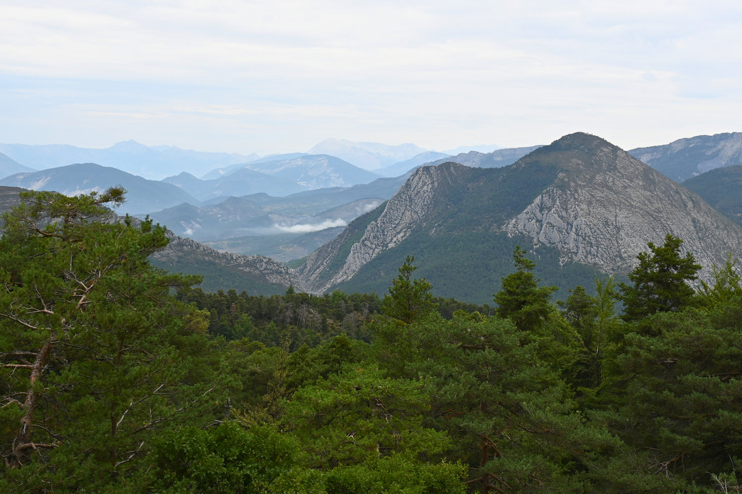 Scenic view of mountains with trees in the foreground